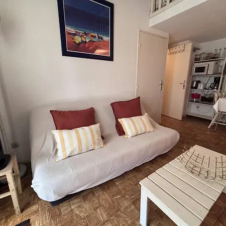 度假居 Sc530-238 2 Pieces 5 Couchages St Cyprien 圣西普里安