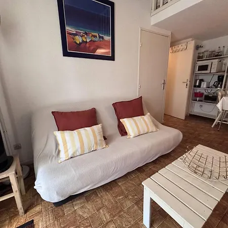 Sc530-238 2 Pieces 5 Couchages St Cyprien Semesterbostad Saint-Cyprien (Pyrenees-Orientales)